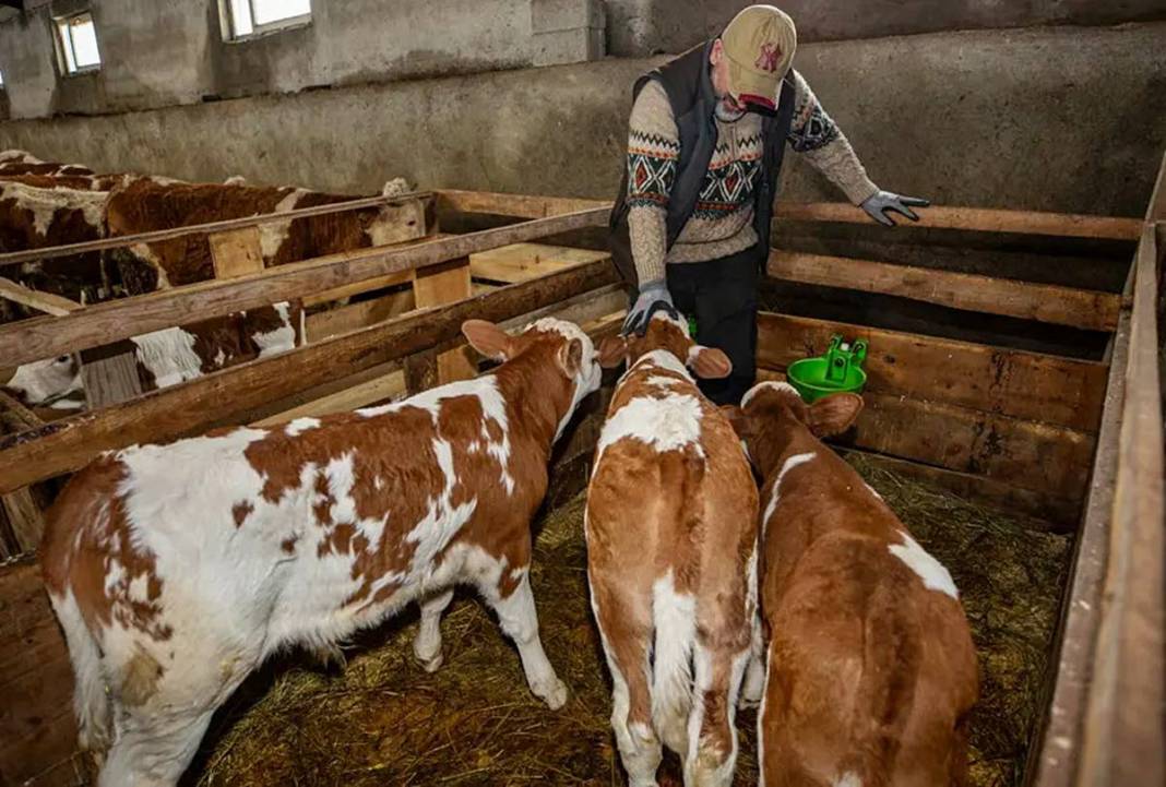 İstanbul'daki işini bıraktı, tek kuruş devlet desteği almadan Erzurum'da dev tesis kurdu 7